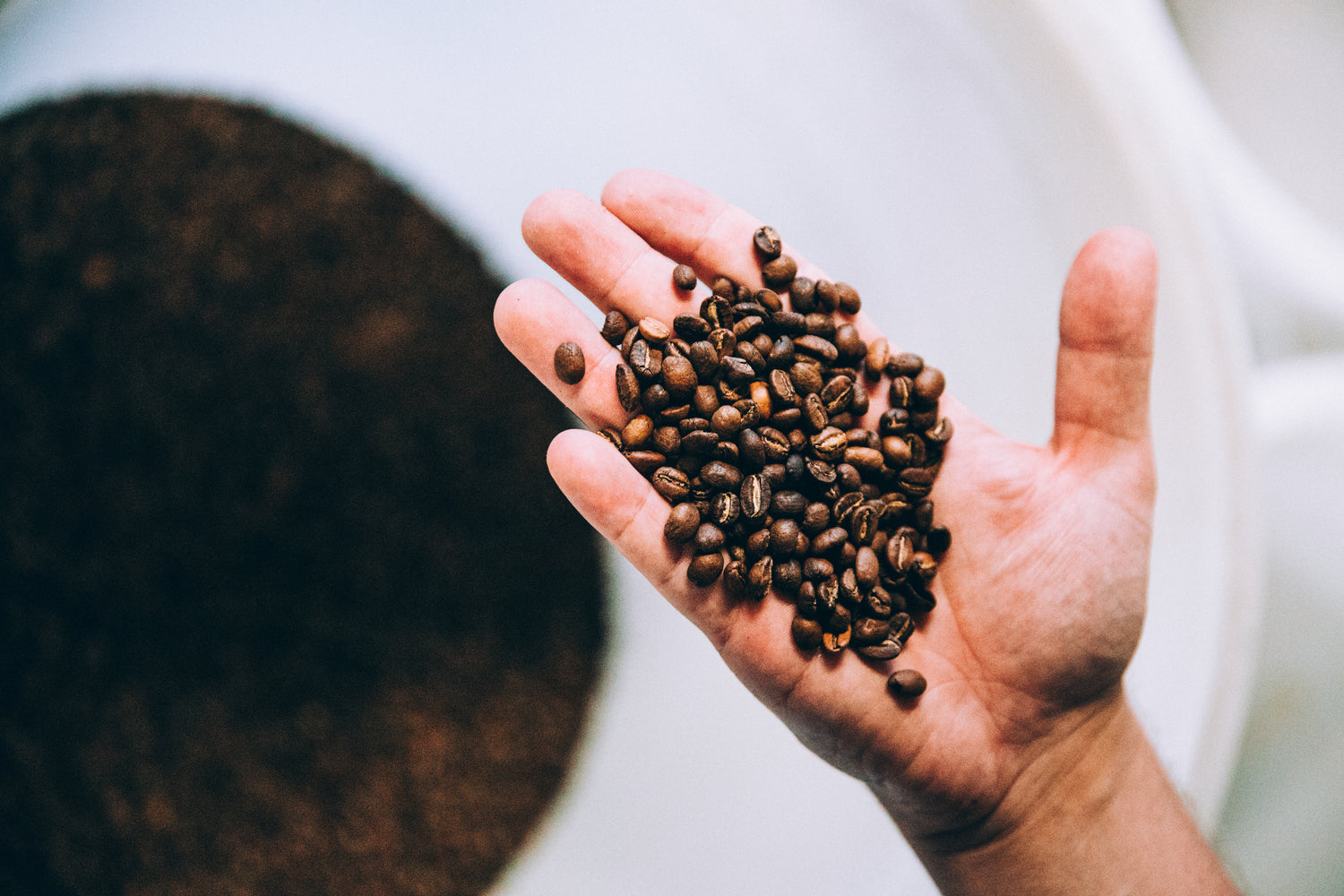 Model Bean Coffee - Coffee roasters and direct trade importers of coffee from Colombia, Mobile Coffee Truck In Kelowna and Okanagan, best Colombian coffee, best coffee beans for espresso