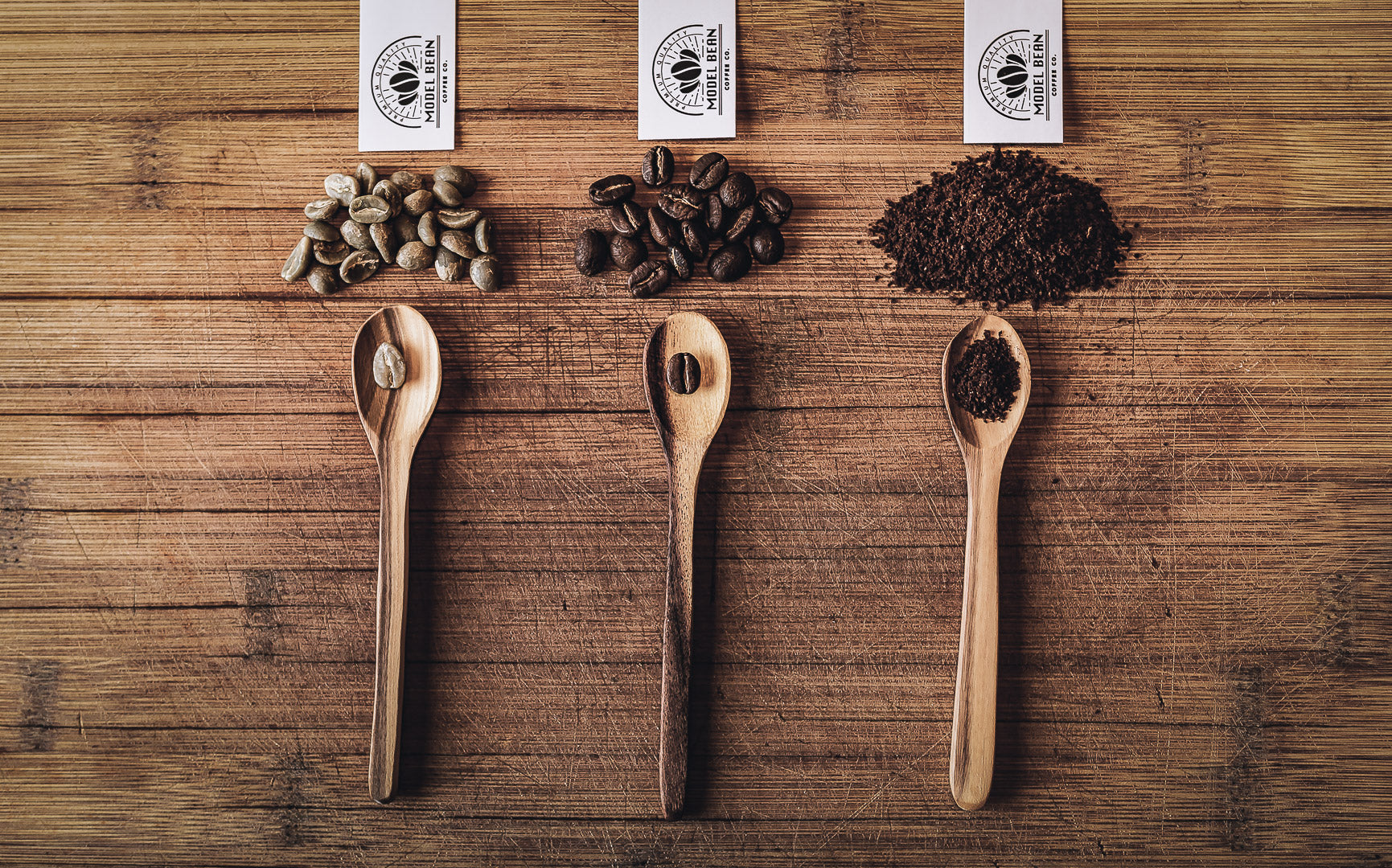 All Products - Model Bean Coffee Co.