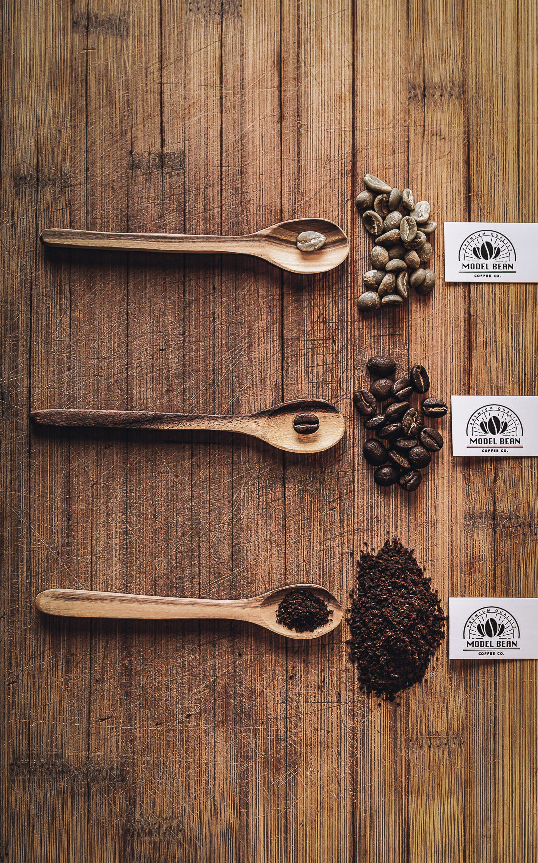 Model Bean Coffee Co - coffee roasters and direct trade coffee importers