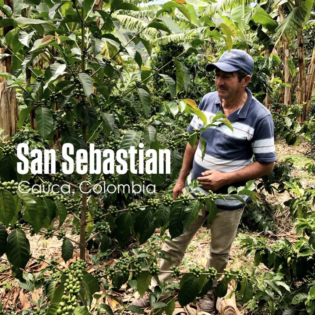 San Sebastian - Cauca - Colombia